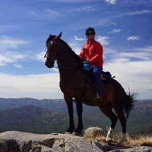 photo16 on top of Mt Sterling.JPG