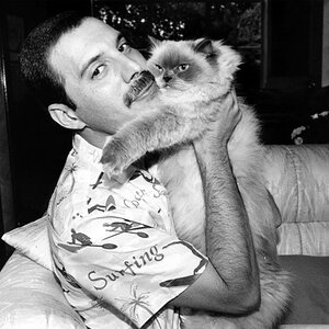 freddie.jpg