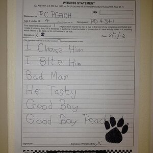 PC dog.jpg