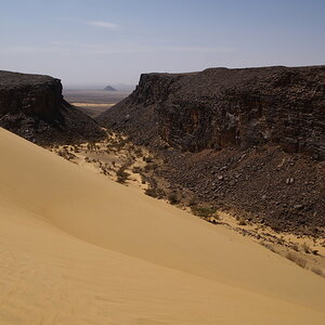 lcMauri_080.jpg