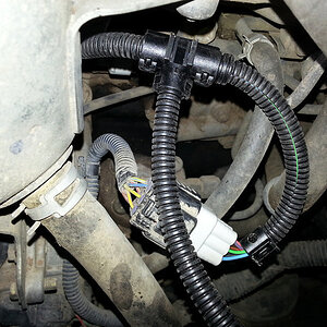 20130413_142223-M.jpg
