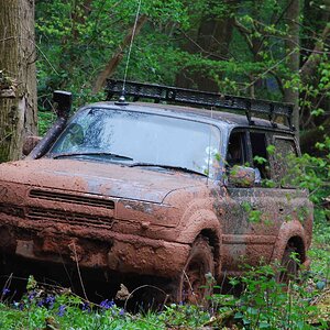 DSC_4462.JPG