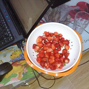 2kg strawberrys and cherries.jpg