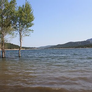 PyreneesAugust2011751.jpg