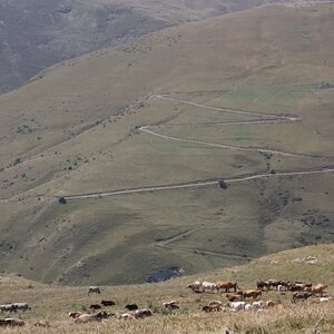 PyreneesAugust2011758.jpg