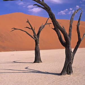 Namibia-12-L.jpg