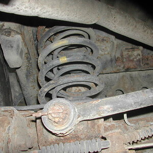 Coil%20Spring.JPG
