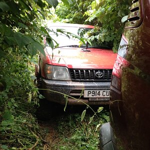 IMG_6907_zps798d23b5.jpg
