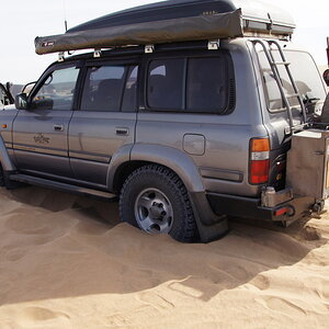 DSC00445_zpszolr87qj.jpg