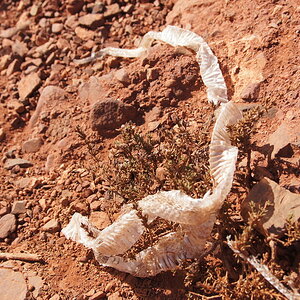 DSC00501_zpsrxtmkobg.jpg