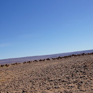 DSC00655_zpsdlveu4ey.jpg