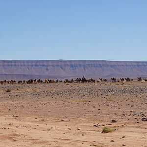DSC00664_zpsimlu4xy9.jpg