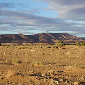 DSC00683_zpsxkoqvu2f.jpg