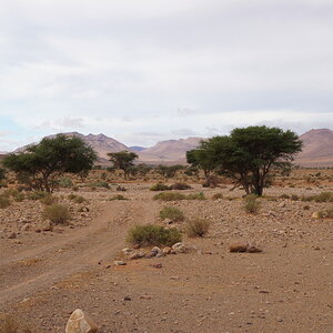 DSC00790_zpslygy6qyq.jpg