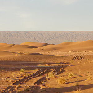DSC00833_zpsyukomhil.jpg