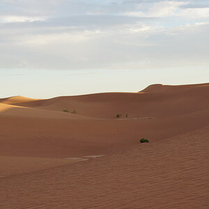 DSC00836_zpsnuvromb6.jpg