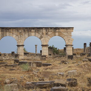 DSC01288_zpsfo4l0ibk.jpg