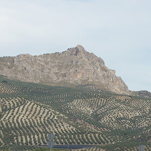 DSC01384_zpscibgp7h4.jpg