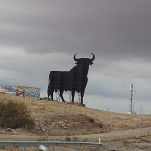 DSC01404_zpsvtdlvj17.jpg