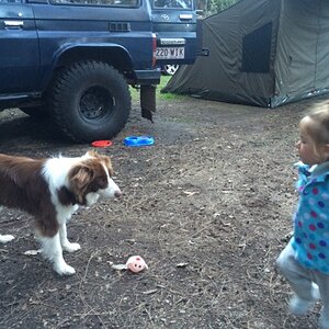 IMG_1806_zpswkrazu1b.jpg