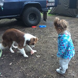 IMG_1807_zpsltepii5q.jpg