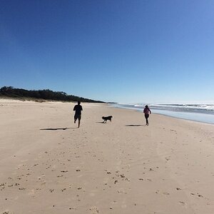 IMG_1814_zpsso2f9f68.jpg