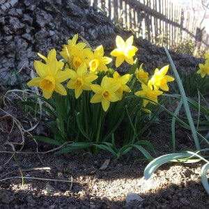 IMG_9516.JPG