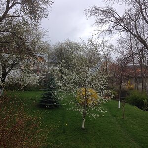 IMG_6918.JPG