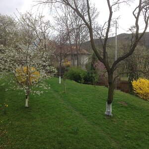 IMG_6919.JPG