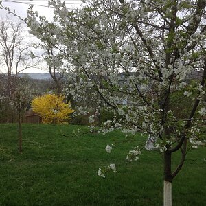 IMG_6923.JPG