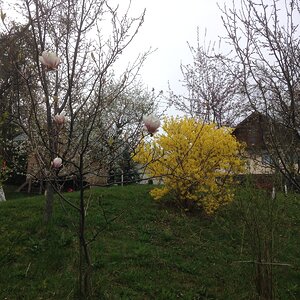 IMG_6928.JPG