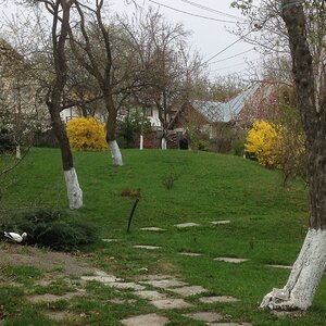 IMG_6931.JPG