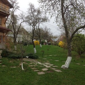IMG_6932.JPG