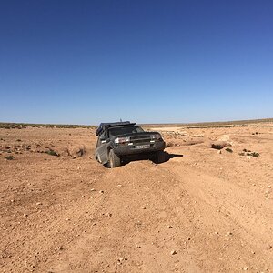 IMG_1465.JPG