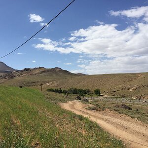 IMG_1491.JPG
