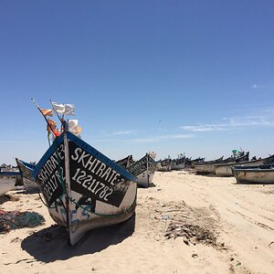 IMG_1581.JPG