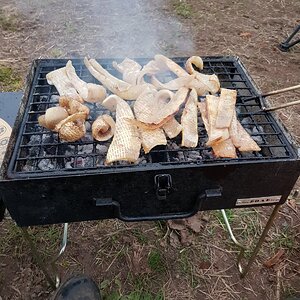 20170430_200919.jpg