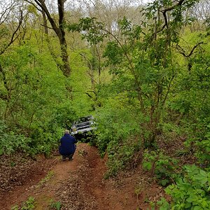 20170429_122319.jpg