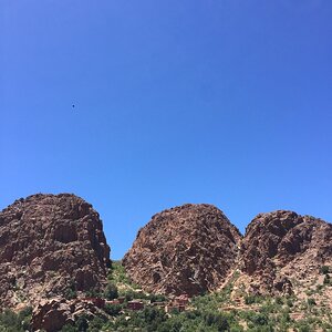 IMG_1720.JPG