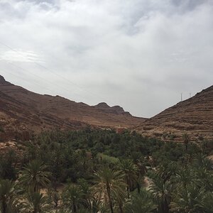 IMG_1727.JPG