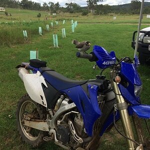 IMG_6033_zpswjam9dcs.jpg
