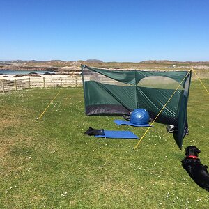 IMG_3747.JPG
