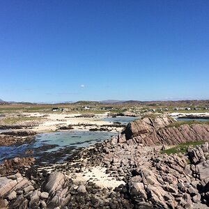 IMG_3749.JPG