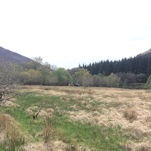 IMG_3779.JPG