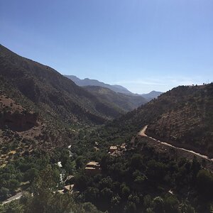 IMG_1865.JPG