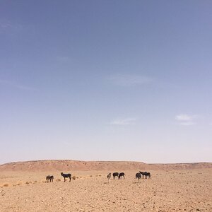 IMG_1897.JPG