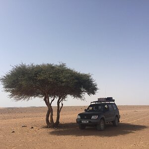 IMG_1894.JPG