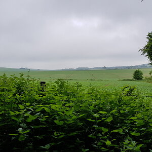 20170527_111000.jpg