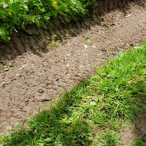 20170527_124835.jpg