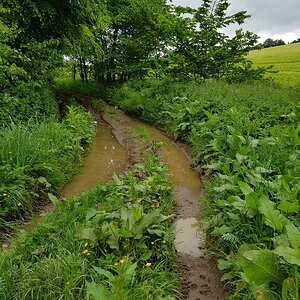 20170527_143421.jpg